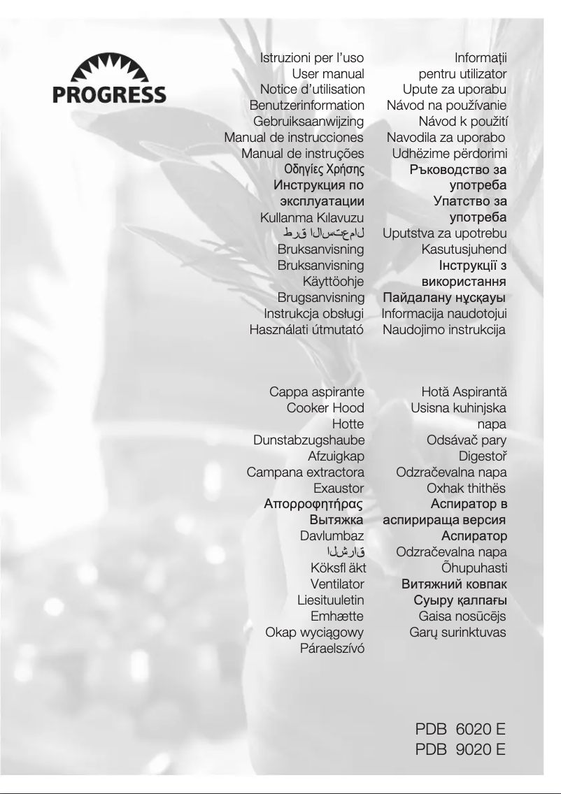 Page 1 de la notice Manuel utilisateur Progress PDB6020E