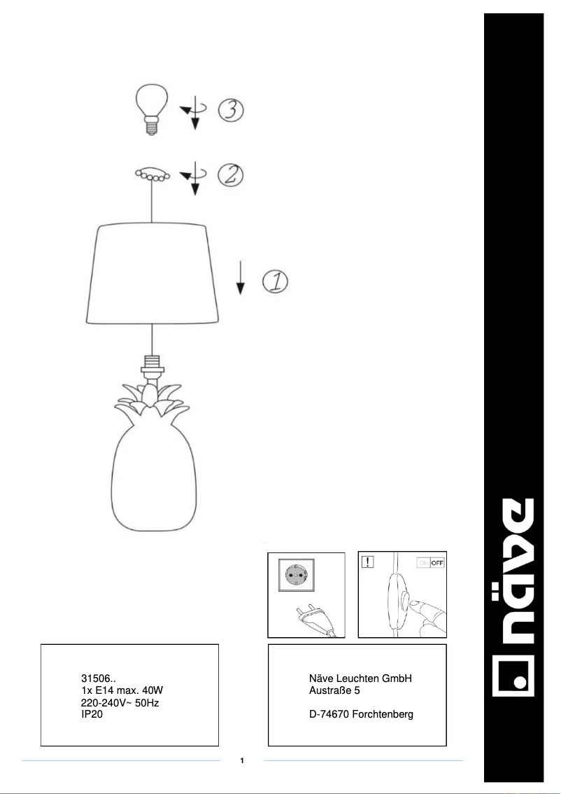 Image de la première page du manuel de l'appareil Ananas