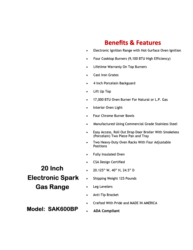 Page 1 de la notice Fiche technique Premier SAK600BP
