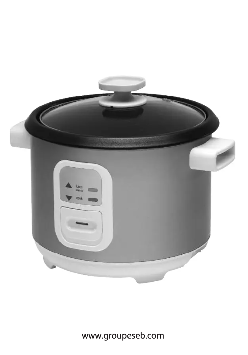 Page 1 de la notice Manuel utilisateur Tefal Uno RK110