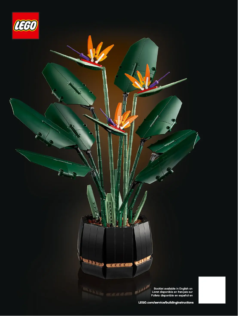 Page 1 de la notice Manuel utilisateur Lego Icons 10289