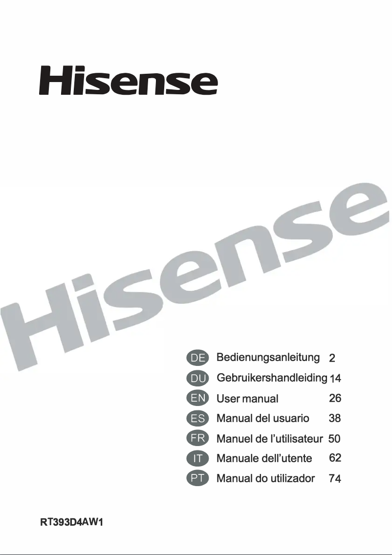 Page 1 de la notice Manuel utilisateur Hisense RT393D4AW1