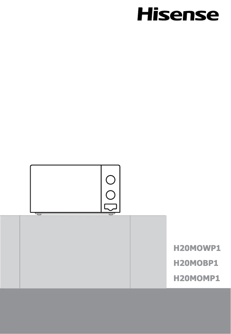 Página 1 del manual Manual de usuario Hisense H20MOWP1