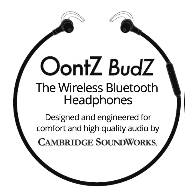 Image de la première page du manuel de l'appareil BUDZ