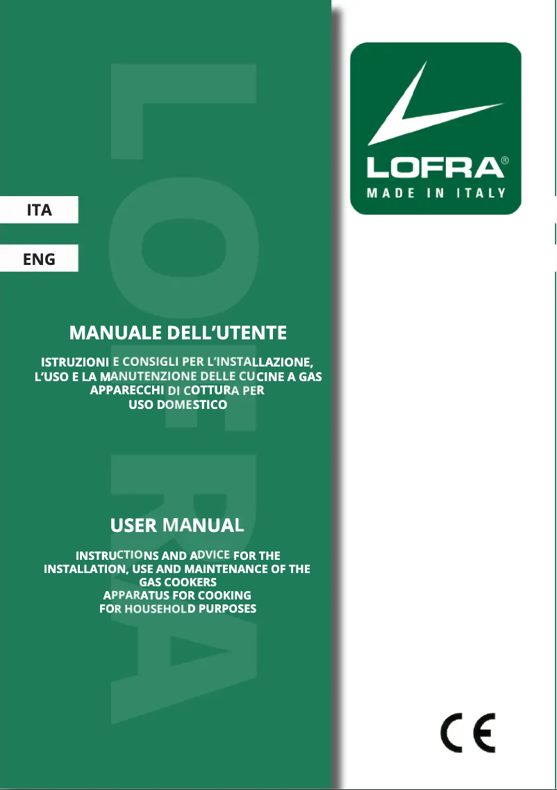 Image de la première page du manuel de l'appareil RBIG96MFT/CI