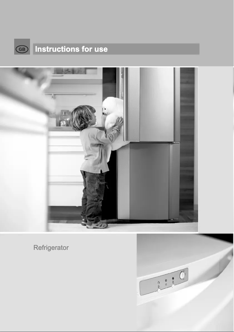 Page n°1 - Manuel utilisateur Gorenje R61390W