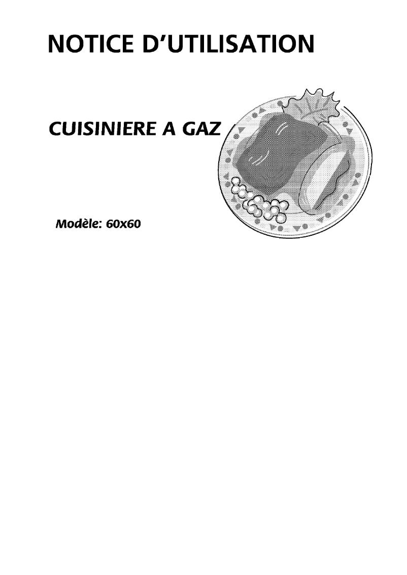 Image de la première page du manuel de l'appareil BCG 6065