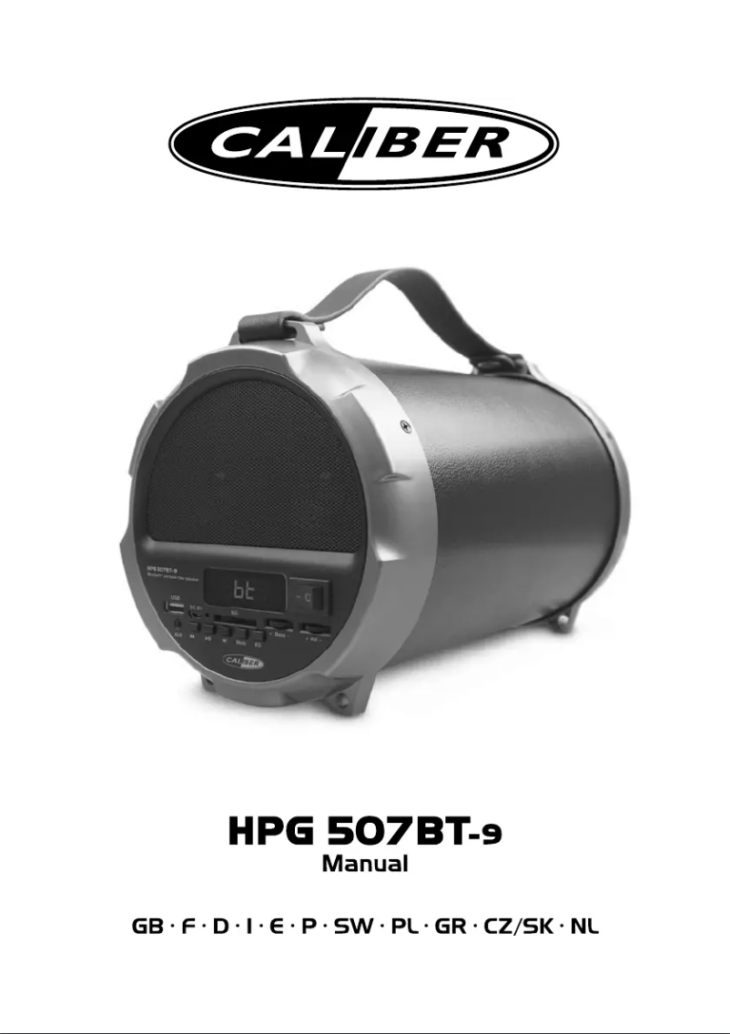 Page n°1 - Manuel utilisateur Caliber HPG507BT