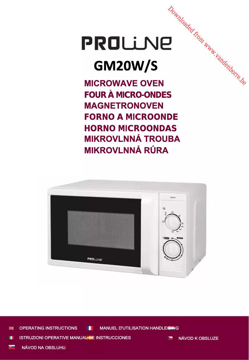 Page n°1 - Manuel utilisateur Proline GM20S