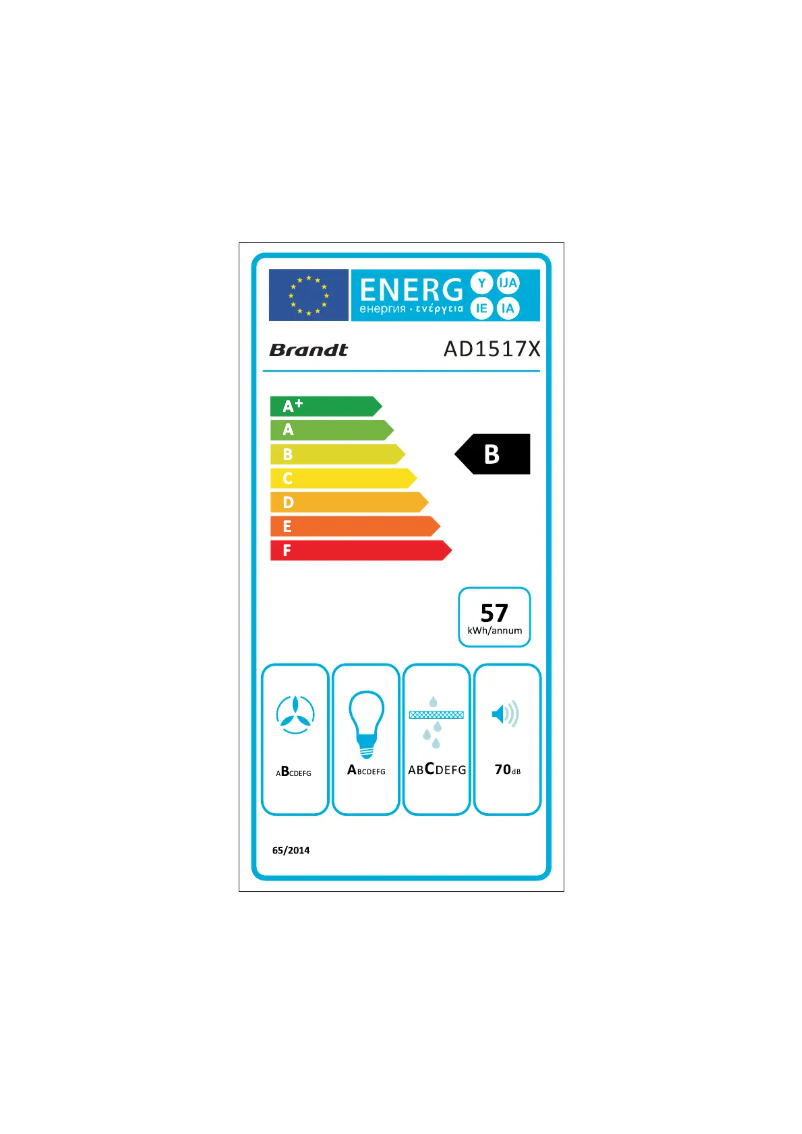 Image de la première page du manuel de l'appareil AD1517X
