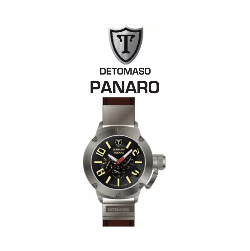 Page n°1 - Manuel utilisateur Detomaso Panaro