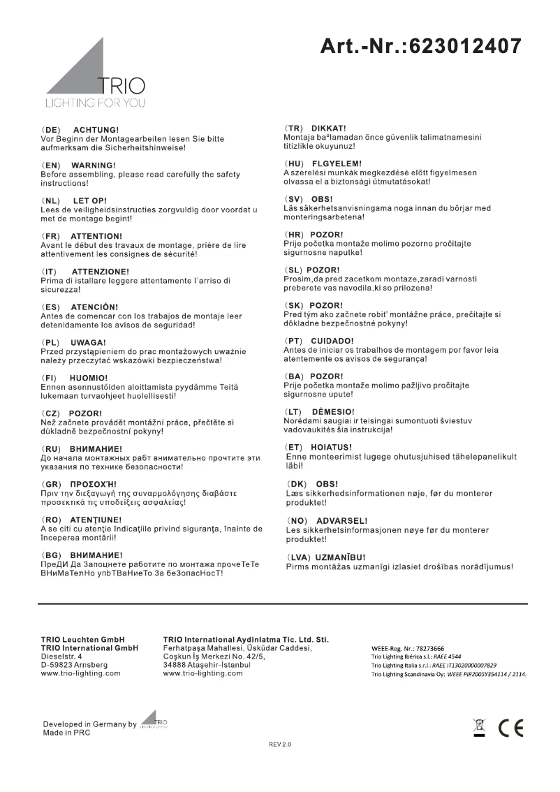 Page 1 de la notice Manuel utilisateur Trio Lighting Messina 623012407