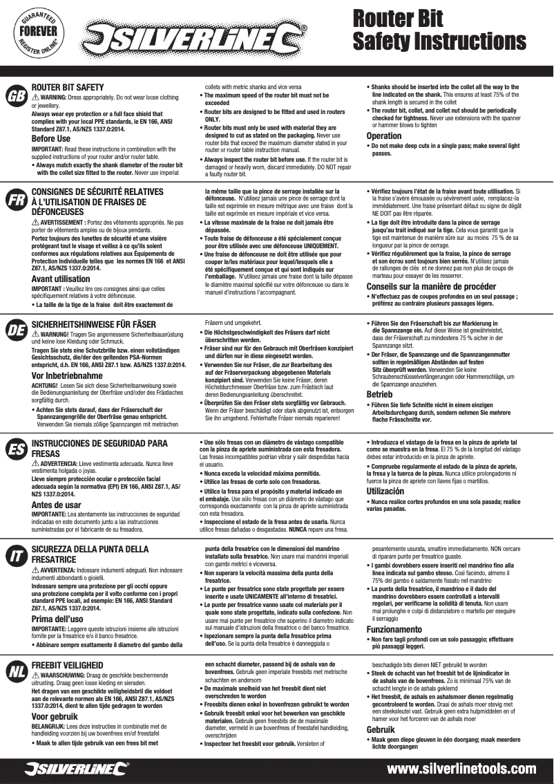 Page 1 de la notice Manuel utilisateur Silverline 633598