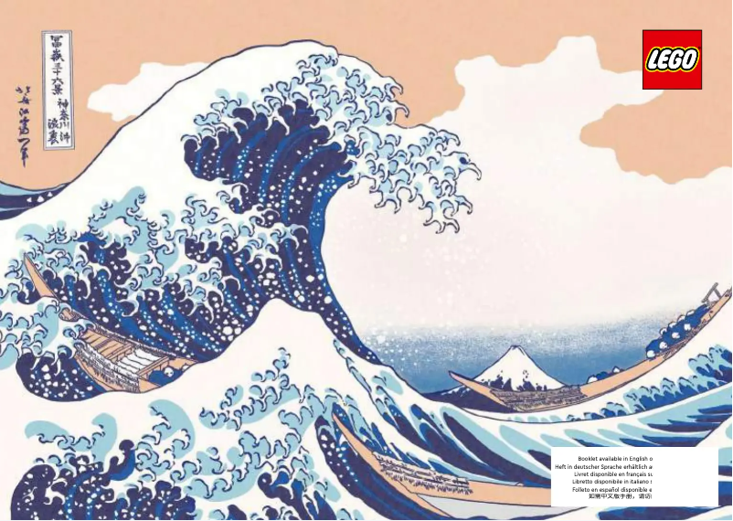 Image de la première page du manuel de l'appareil 31208