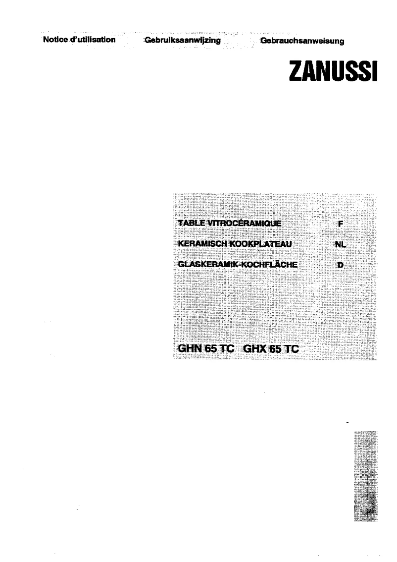 Page 1 de la notice Manuel utilisateur Zanussi GHN x 65 tc