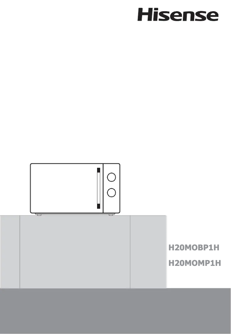 Page 1 de la notice Manuel utilisateur Hisense H20MOMP1H
