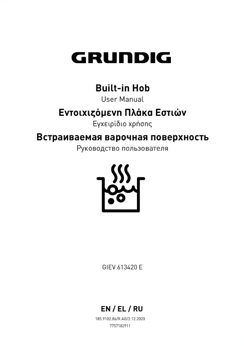 Page 1 de la notice Manuel utilisateur Grundig GIEV 613420 E