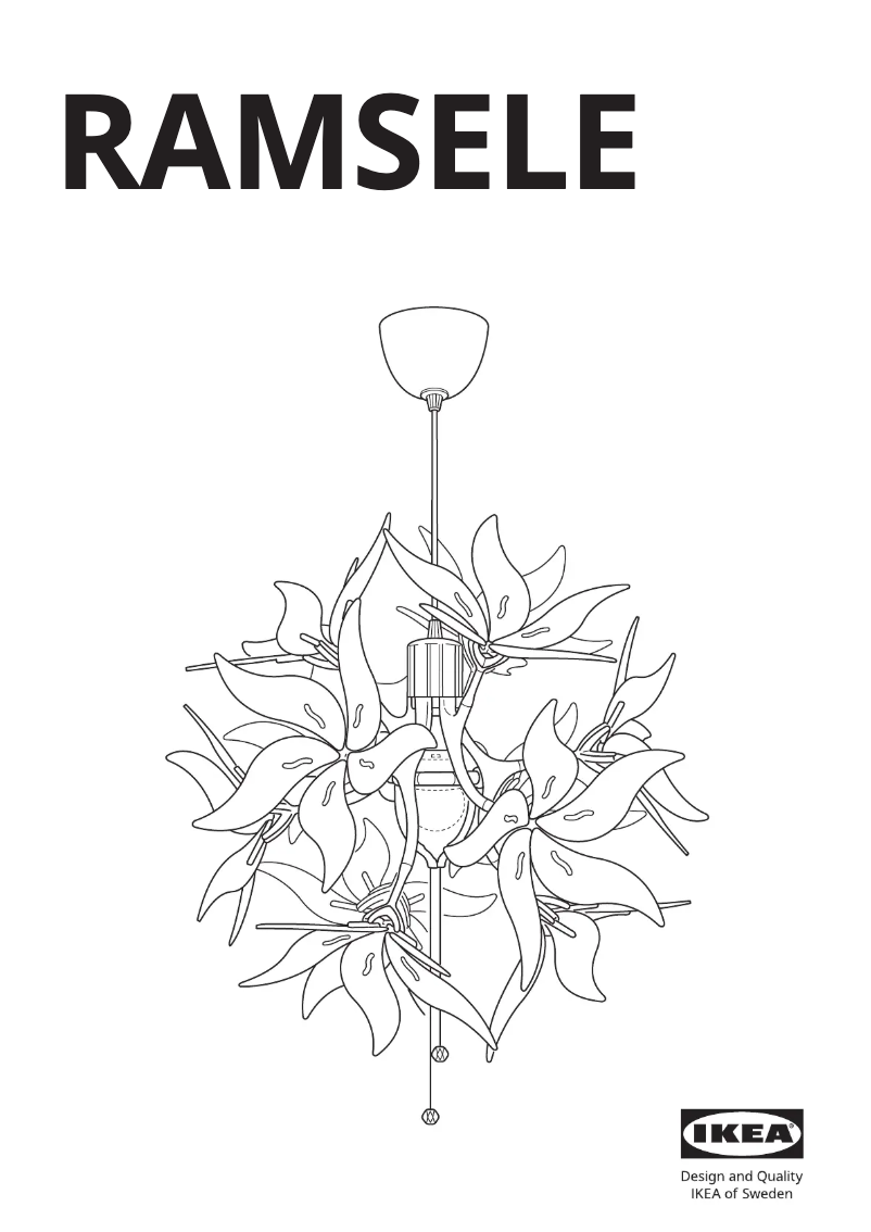 Image de la première page du manuel de l'appareil RAMSELE 304.048.82