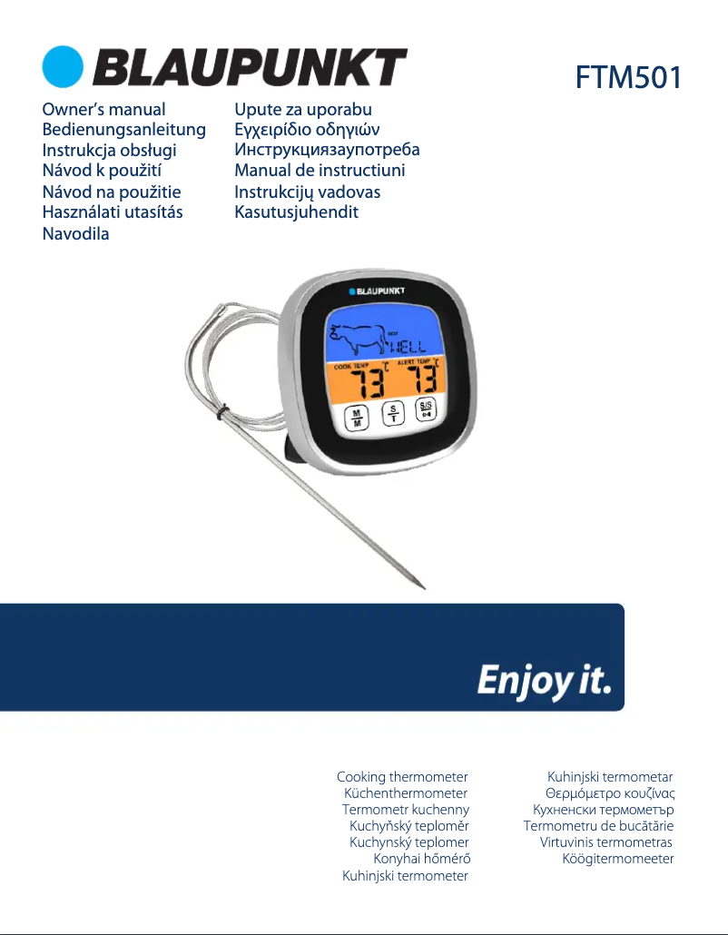 Page n°1 - Manuel utilisateur Blaupunkt FTM501