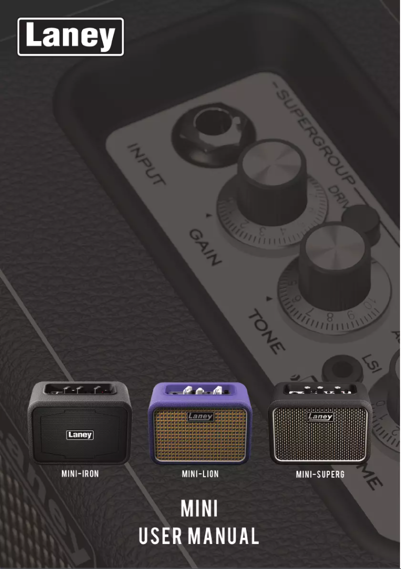 Page 1 de la notice Manuel utilisateur Laney Mini