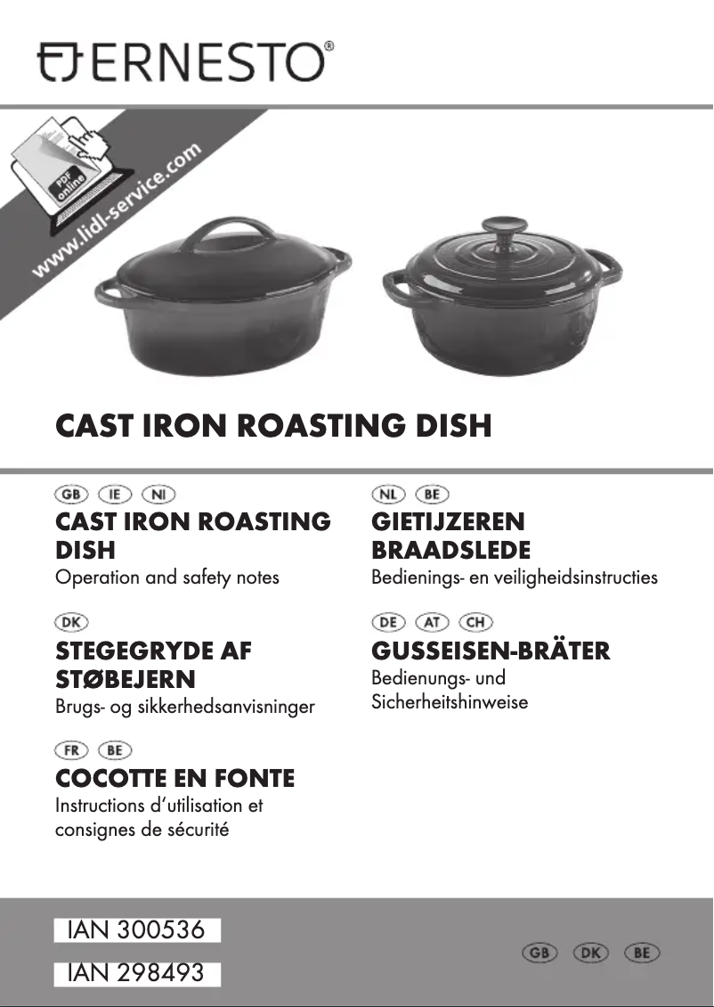 Page 1 de la notice Manuel utilisateur Ernesto IAN 298493