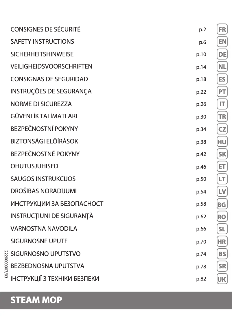 Image de la première page du manuel de l'appareil Steam Power RY6597