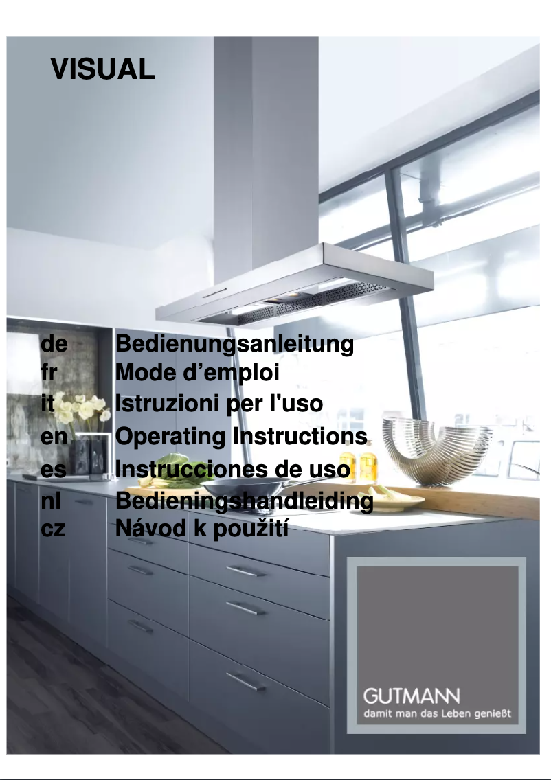 Page 1 de la notice Manuel utilisateur Gutmann Visual