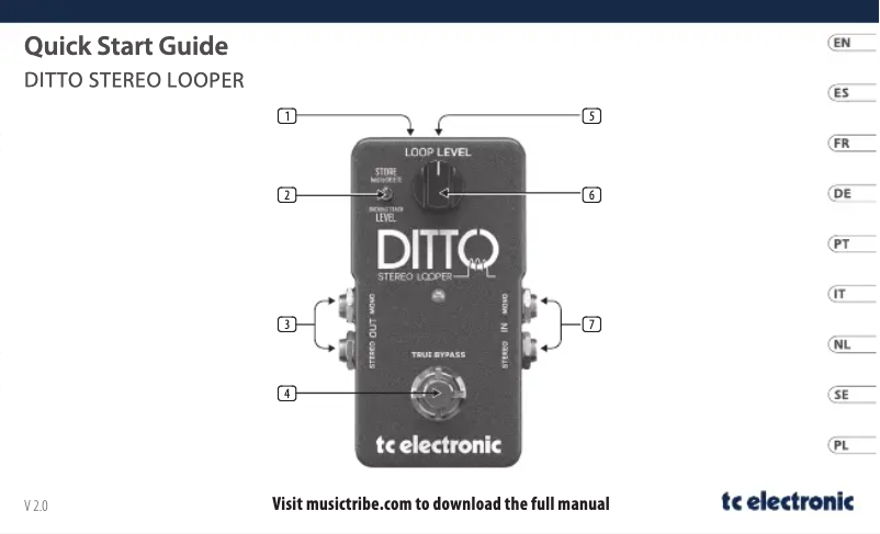 Page n°1 - Guide de démarrage rapide TC Electronic Ditto Stereo Looper