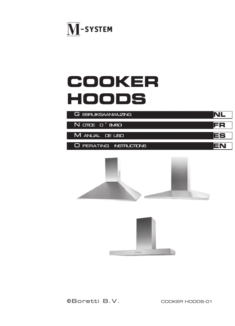 Page 1 de la notice Manuel utilisateur M-System MSDK 701