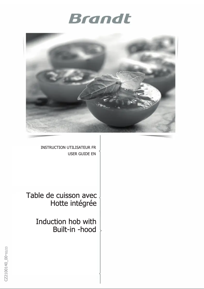 Page 1 de la notice Manuel utilisateur Brandt BPI384BH
