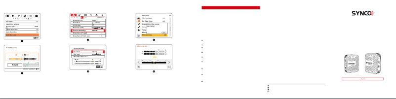 Page 1 de la notice Manuel utilisateur Synco Wair-G1-A1
