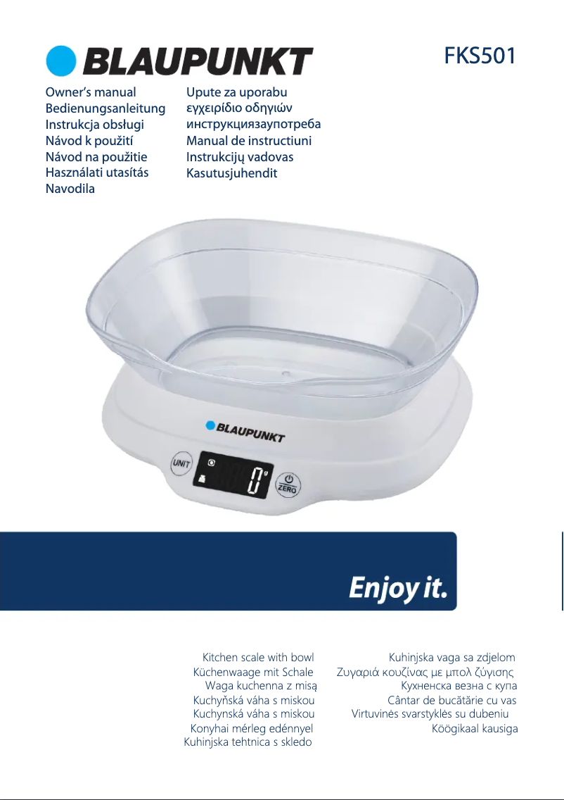 Page 1 de la notice Manuel utilisateur Blaupunkt FKS501