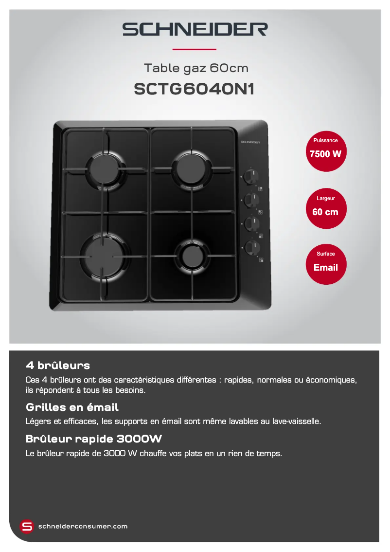 Page 1 de la notice Fiche technique Schneider SCTG6040N1