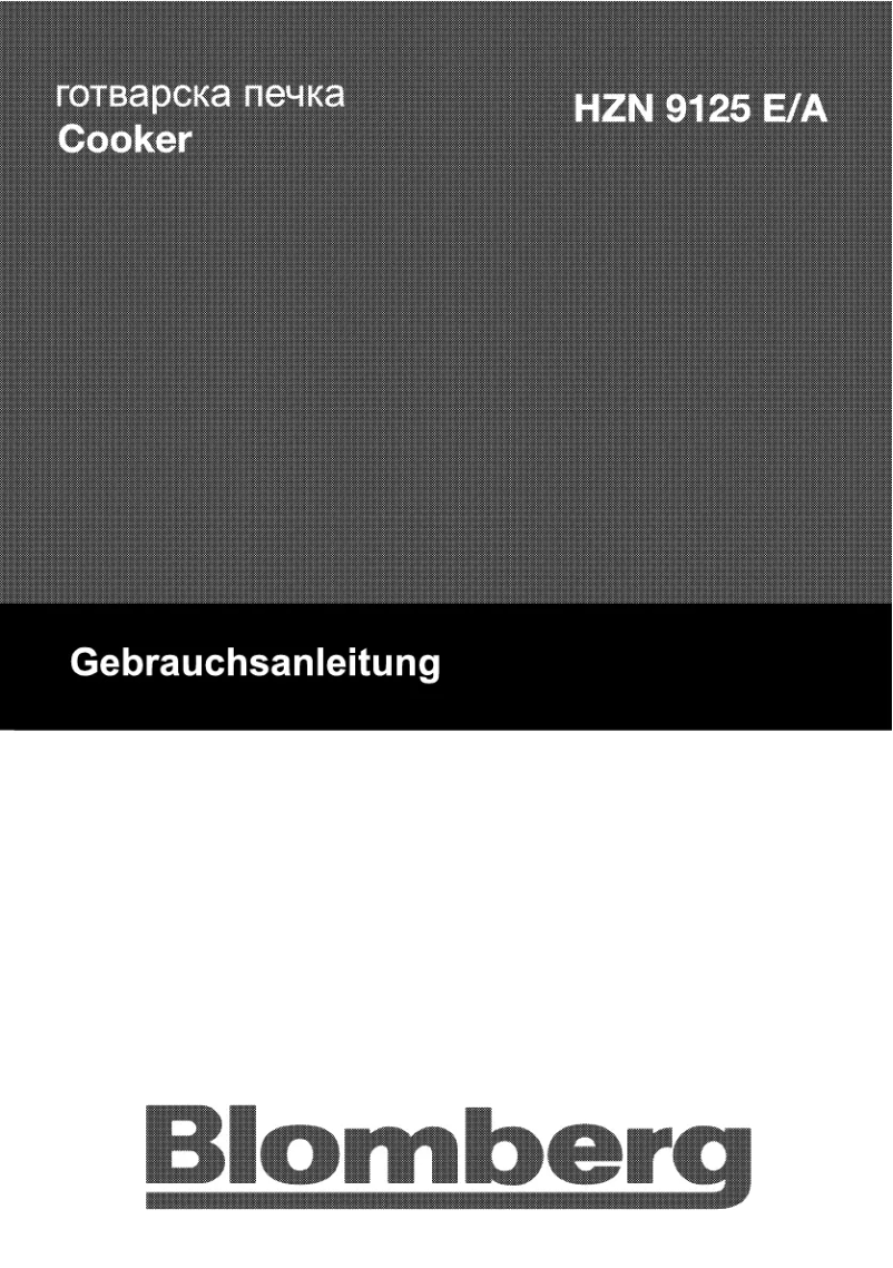 Page n°1 - Manuel utilisateur Blomberg HZN 9125