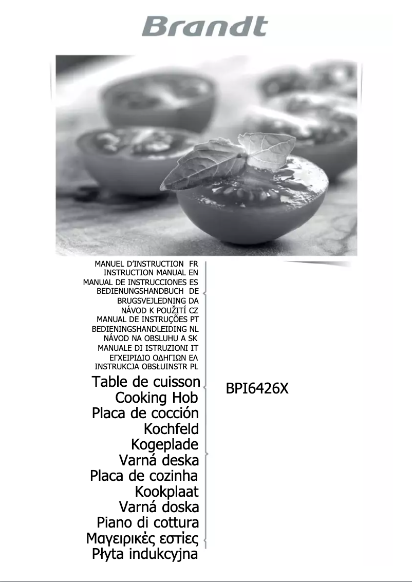 Page 1 de la notice Manuel utilisateur Brandt BPI6426X