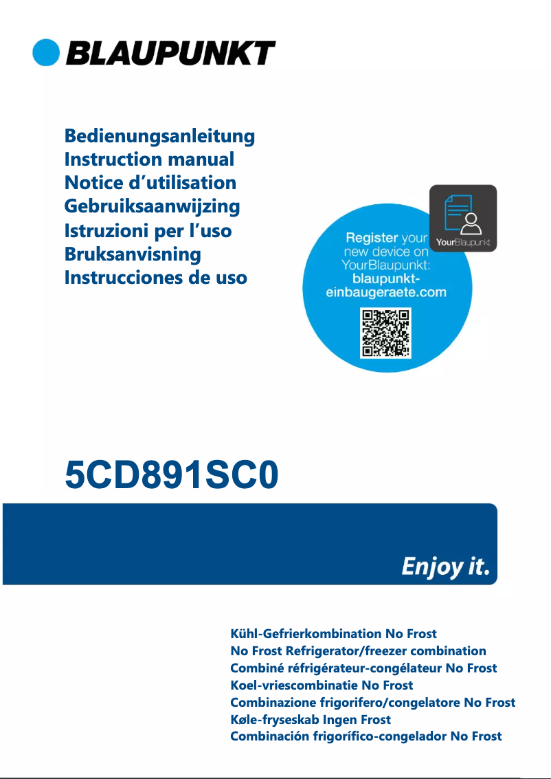 Page n°1 - Guide d'installation Blaupunkt 5CD891SC0