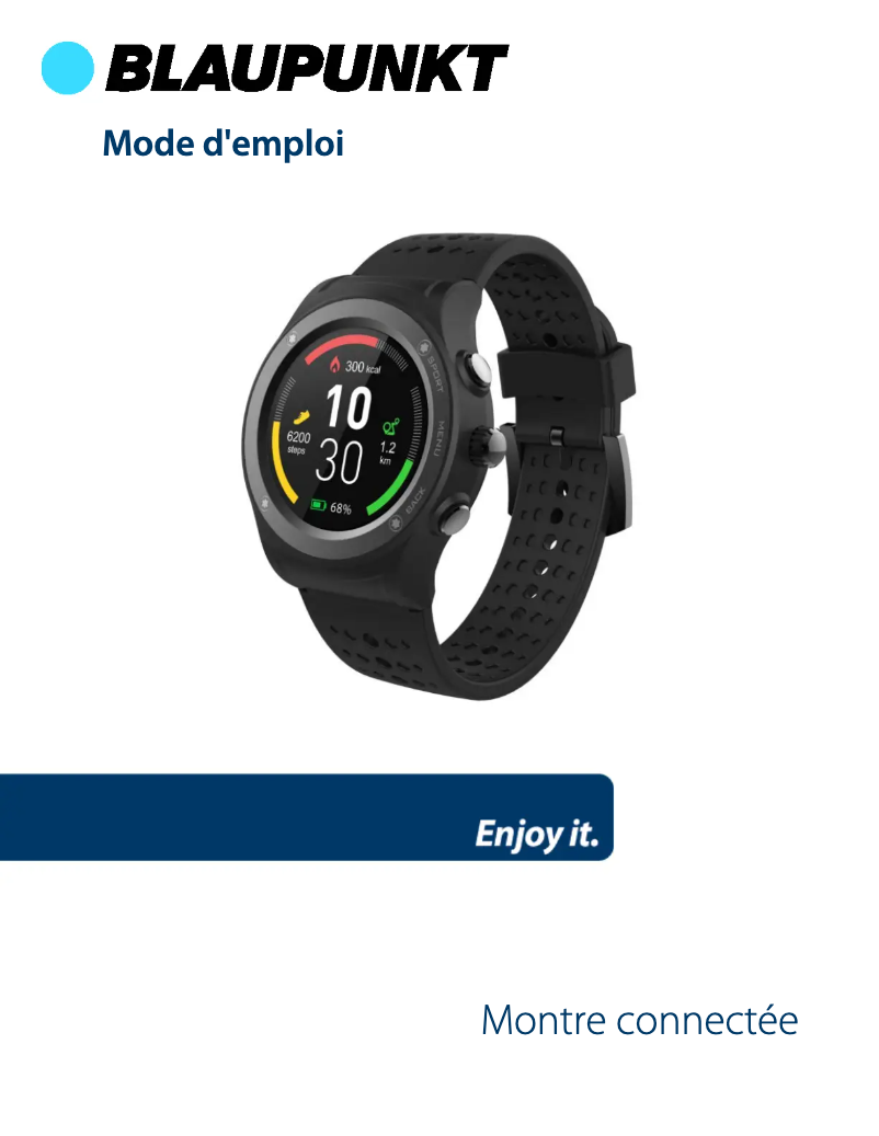 Page 1 de la notice Manuel utilisateur Blaupunkt BLP5600