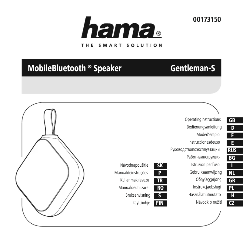 Page 1 de la notice Manuel utilisateur Hama Gentleman-S