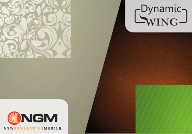 Page n°1 - Manuel utilisateur NGM Dynamic Wing