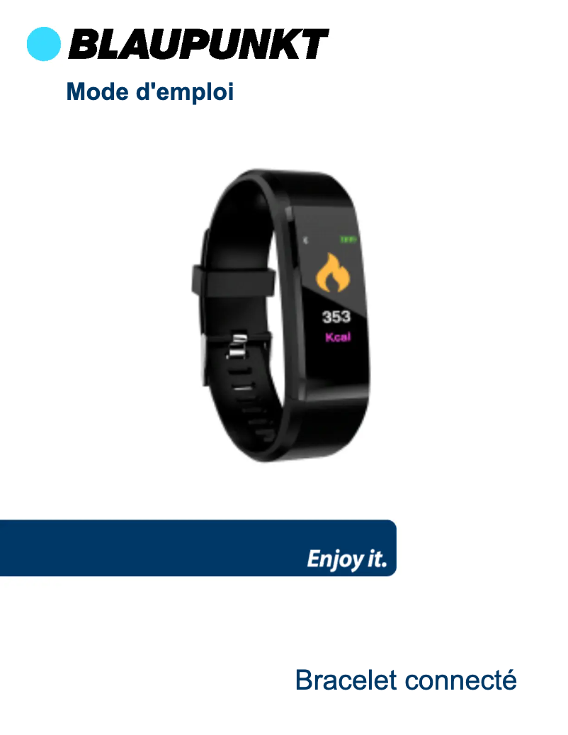 Page 1 de la notice Manuel utilisateur Blaupunkt BLP5210