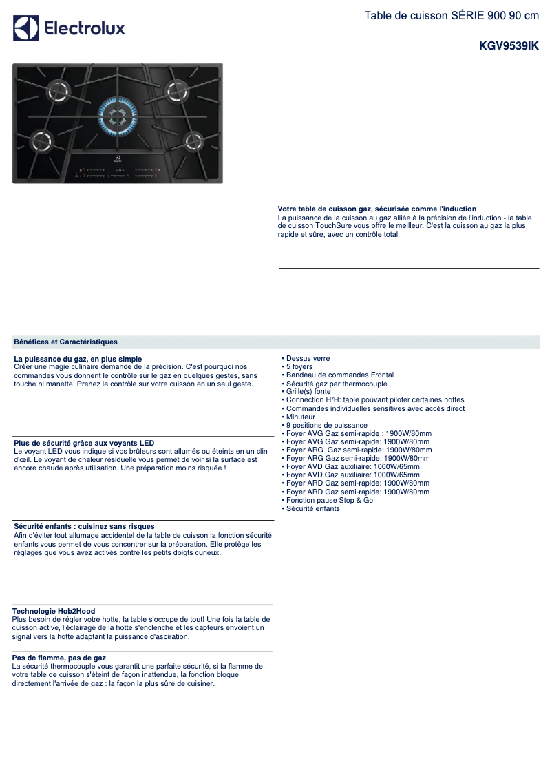 Page n°1 - Fiche technique Electrolux KGV9539IK