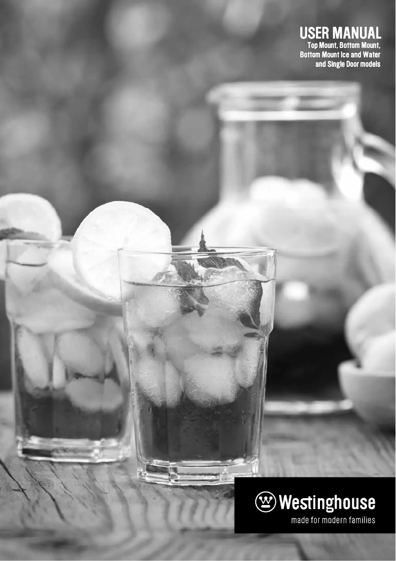 Page 1 de la notice Mode d'emploi Westinghouse WTE4200SB