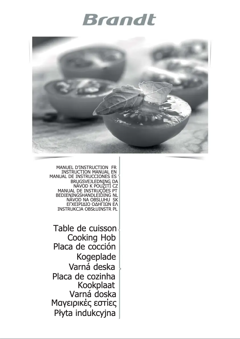 Image de la première page du manuel de l'appareil BPI6315B