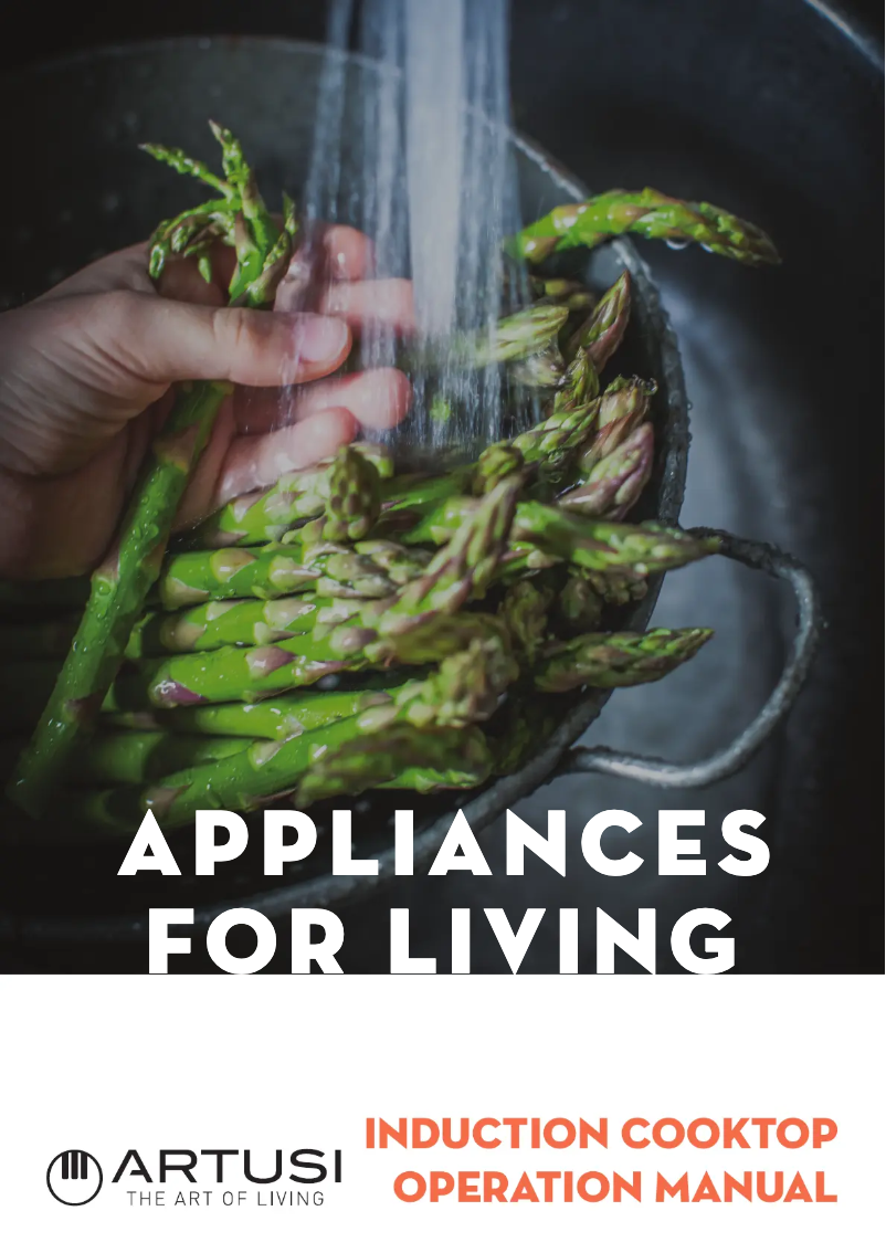 Page 1 de la notice Manuel utilisateur Artusi AID1000