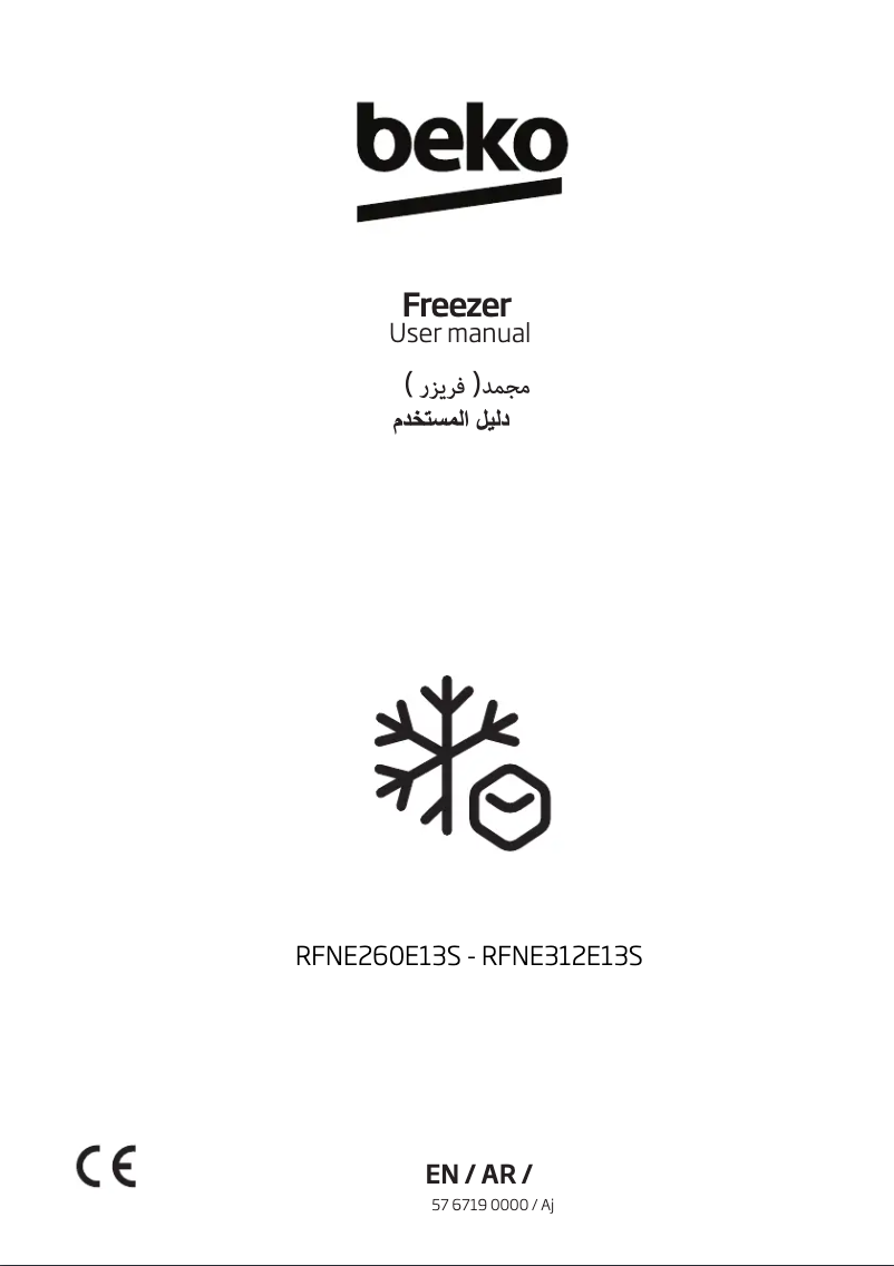 Image de la première page du manuel de l'appareil RFNE312E13S