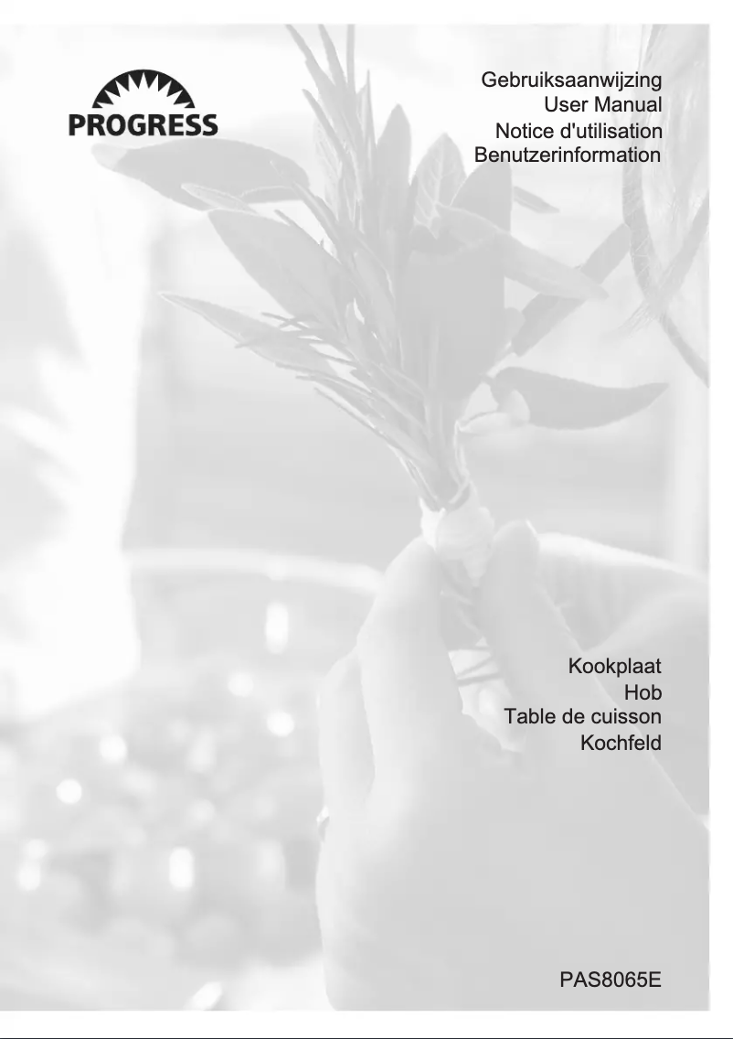 Imagen de la primera página del manual del dispositivo PAS8065E