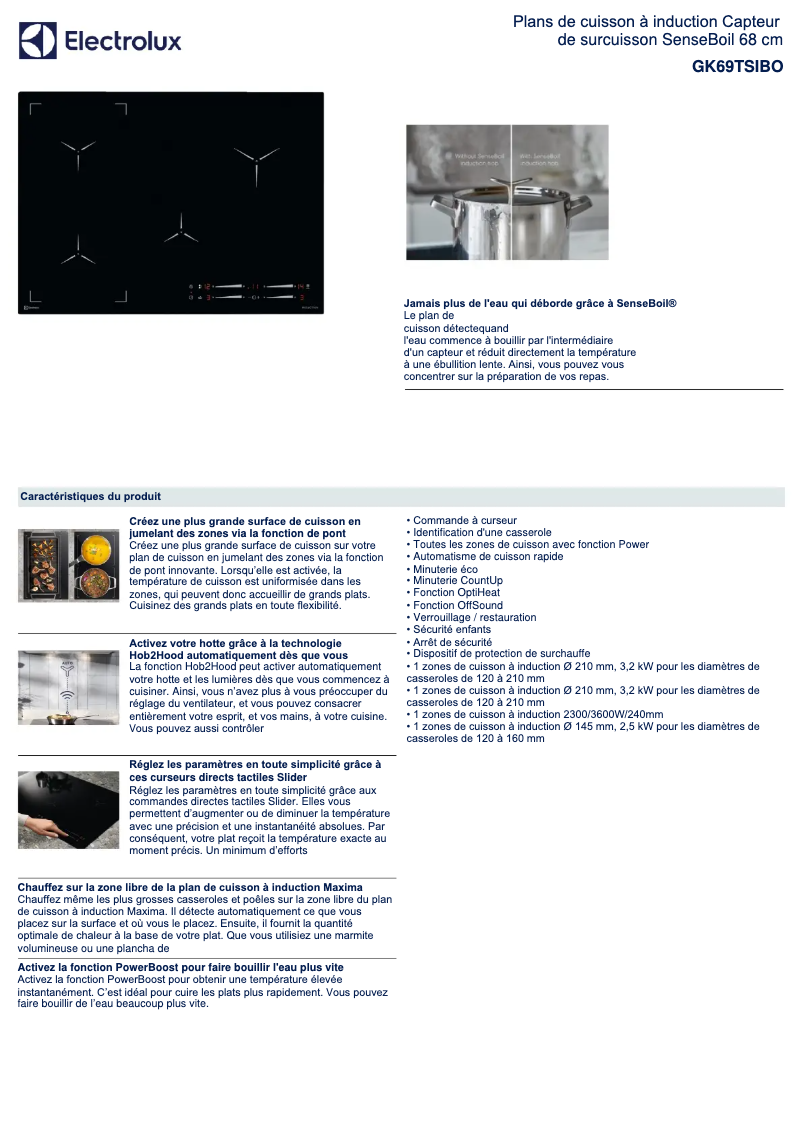 Page n°1 - Fiche technique Electrolux GK69TSIBO