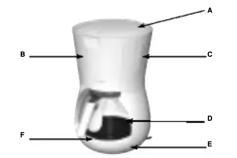 Page 1 de la notice Manuel utilisateur Tefal Principio2 CM3020