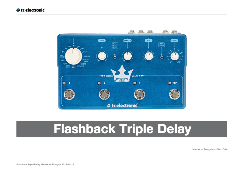 Image de la première page du manuel de l'appareil Flashback Triple Delay