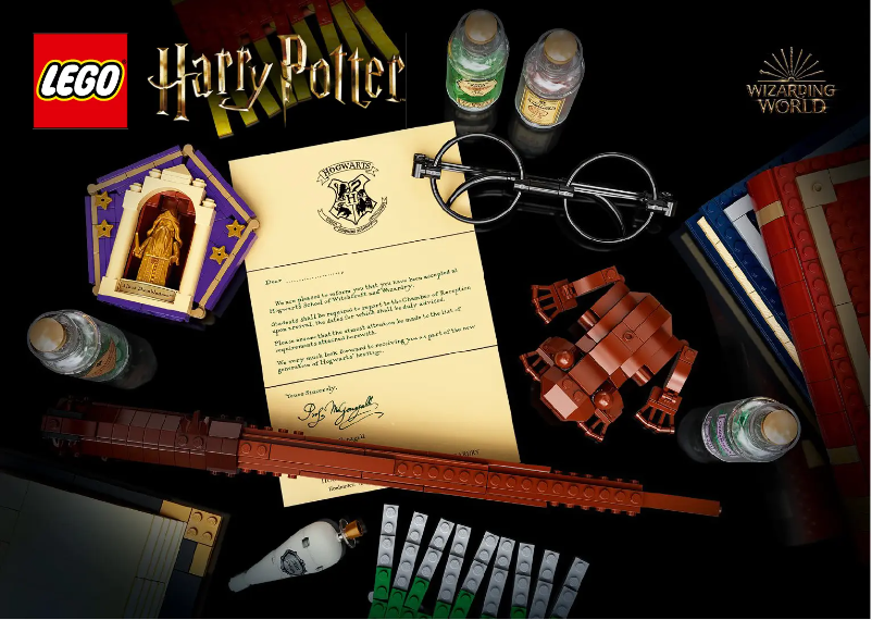 Page n°1 - Consignes visuelles Lego Harry Potter 76391